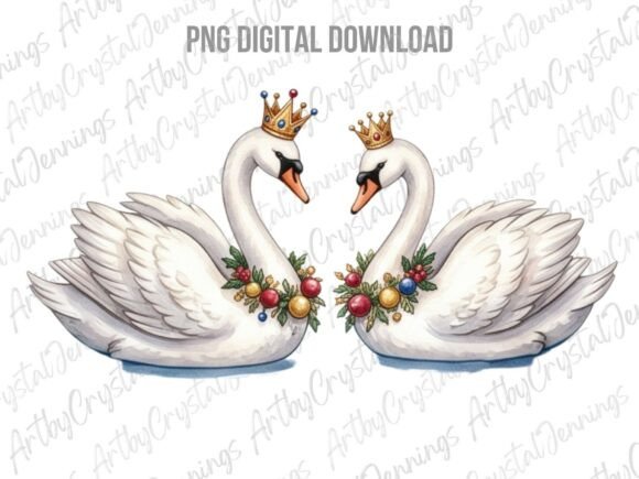 Christmas Swans Watercolor PNG & Illustrations