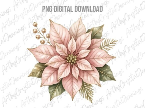 Pink Poinsettia Christmas Clipart PNG and Illustrations